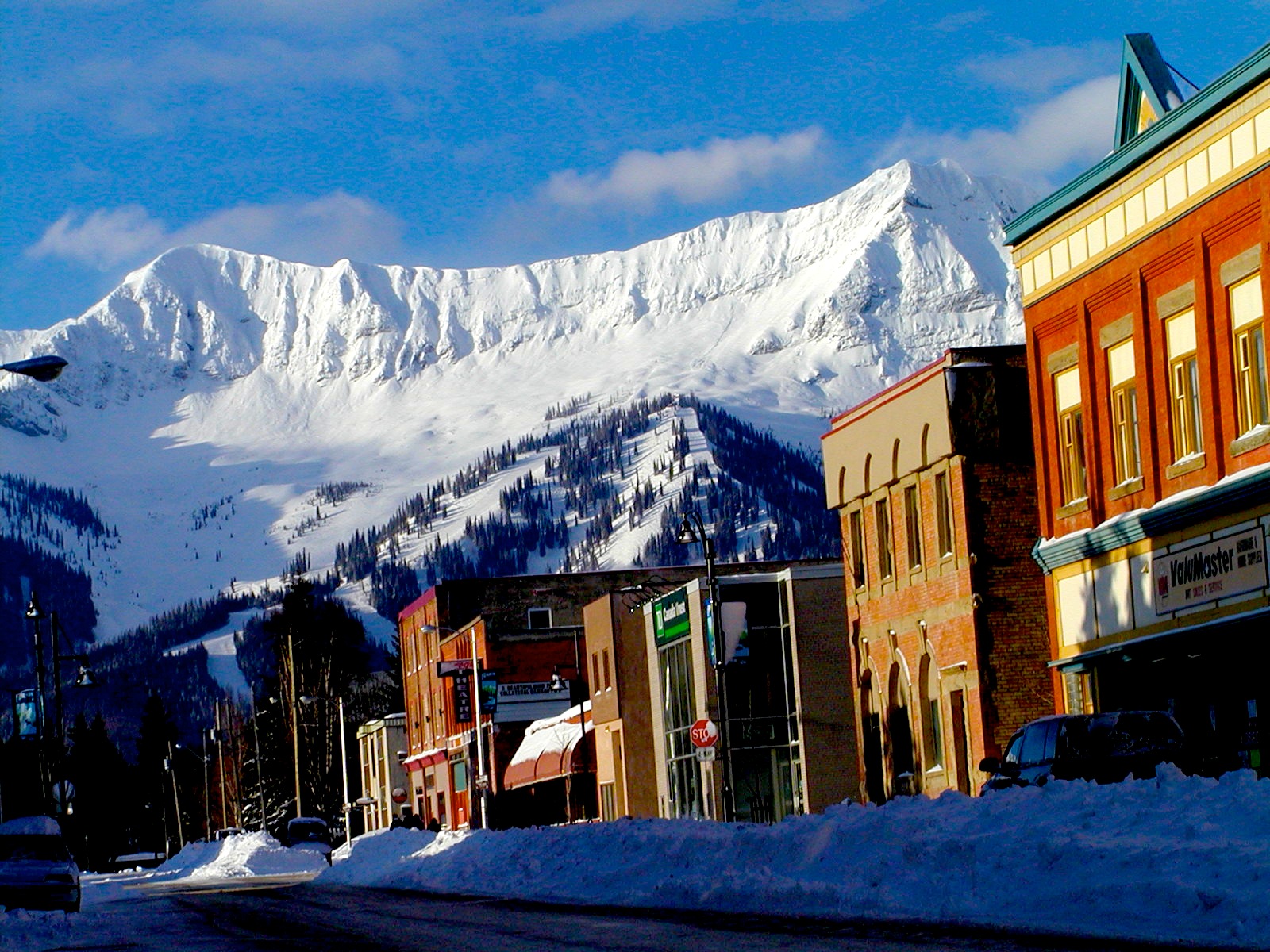 Fernie ski