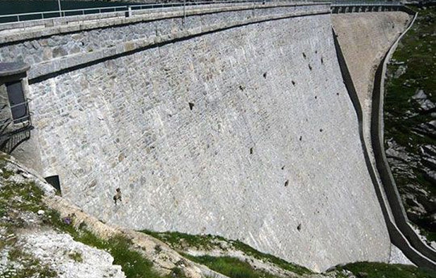 dam goats