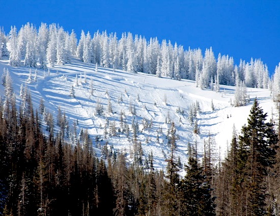 snow avalanche in colorado