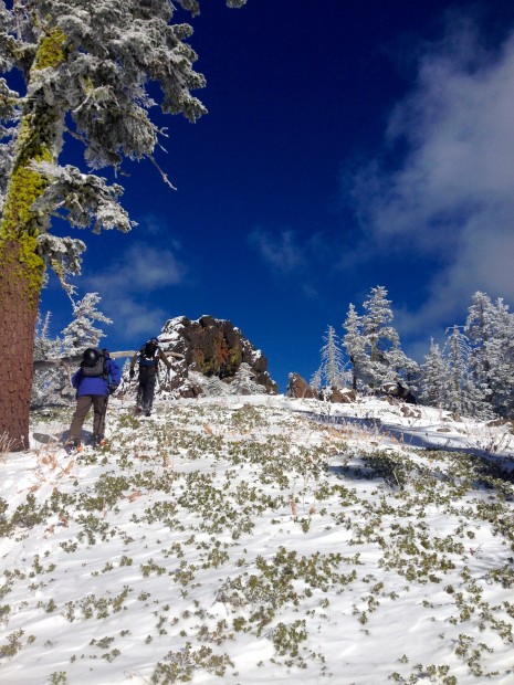 hiking sugar bowl snow