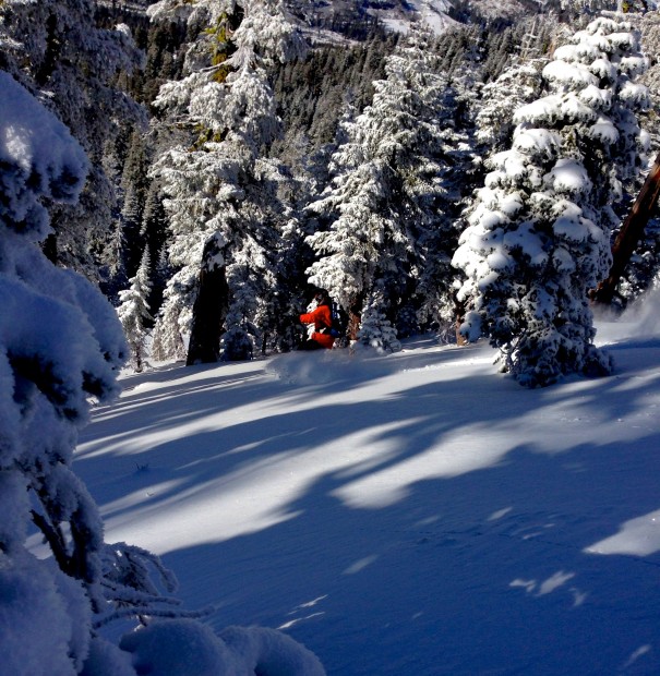 powder