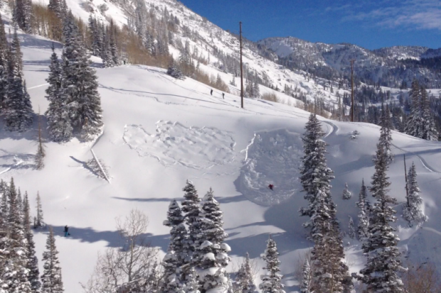 grizzly gultch avalanche