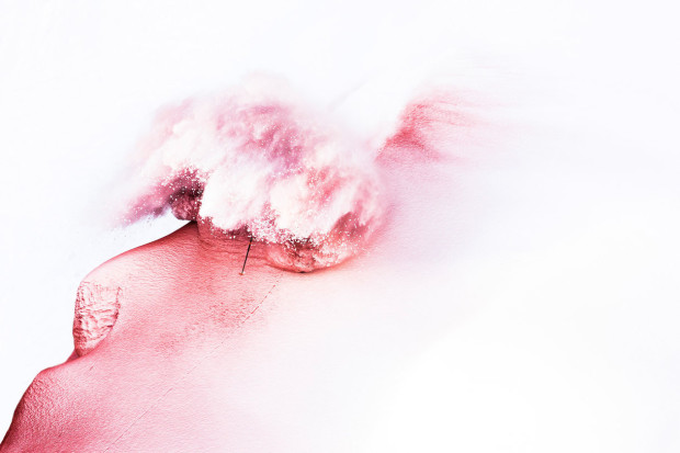 photo:   Jeremy Bernard Photography