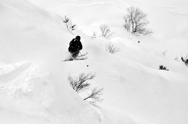 Miles and pillows.  photo:  Zach Paley
