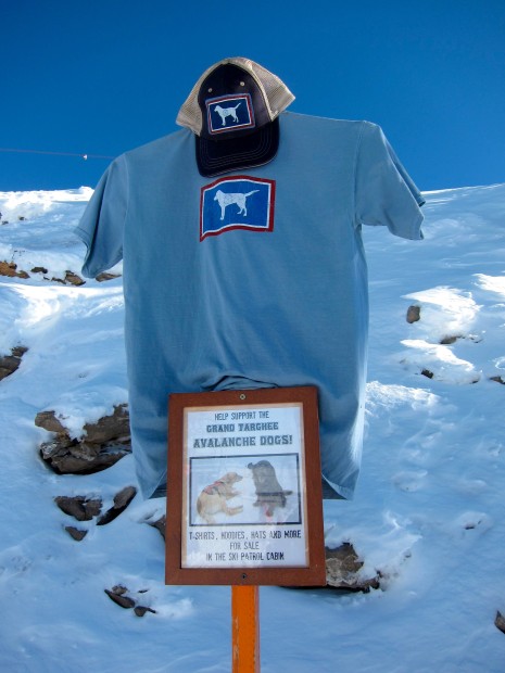Fundrainsing drive for Targhee's avalanche dogs