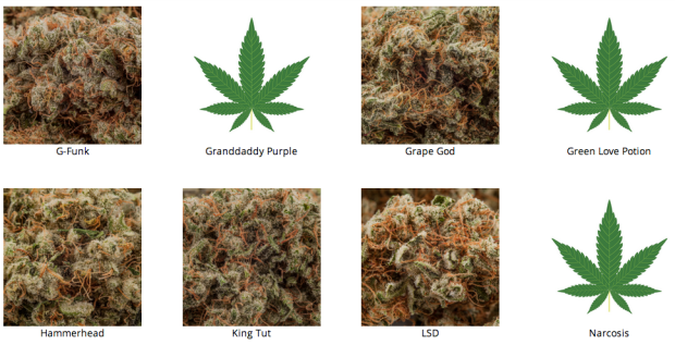 Alpine Wellness' online selection is solid.