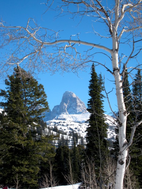 View of the tetons