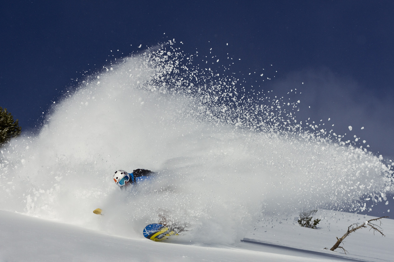 powder skiing