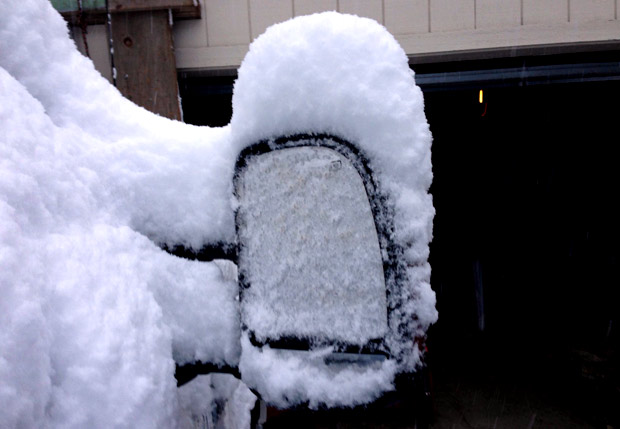 A nice 4-5" of snow for Sierra Meadows