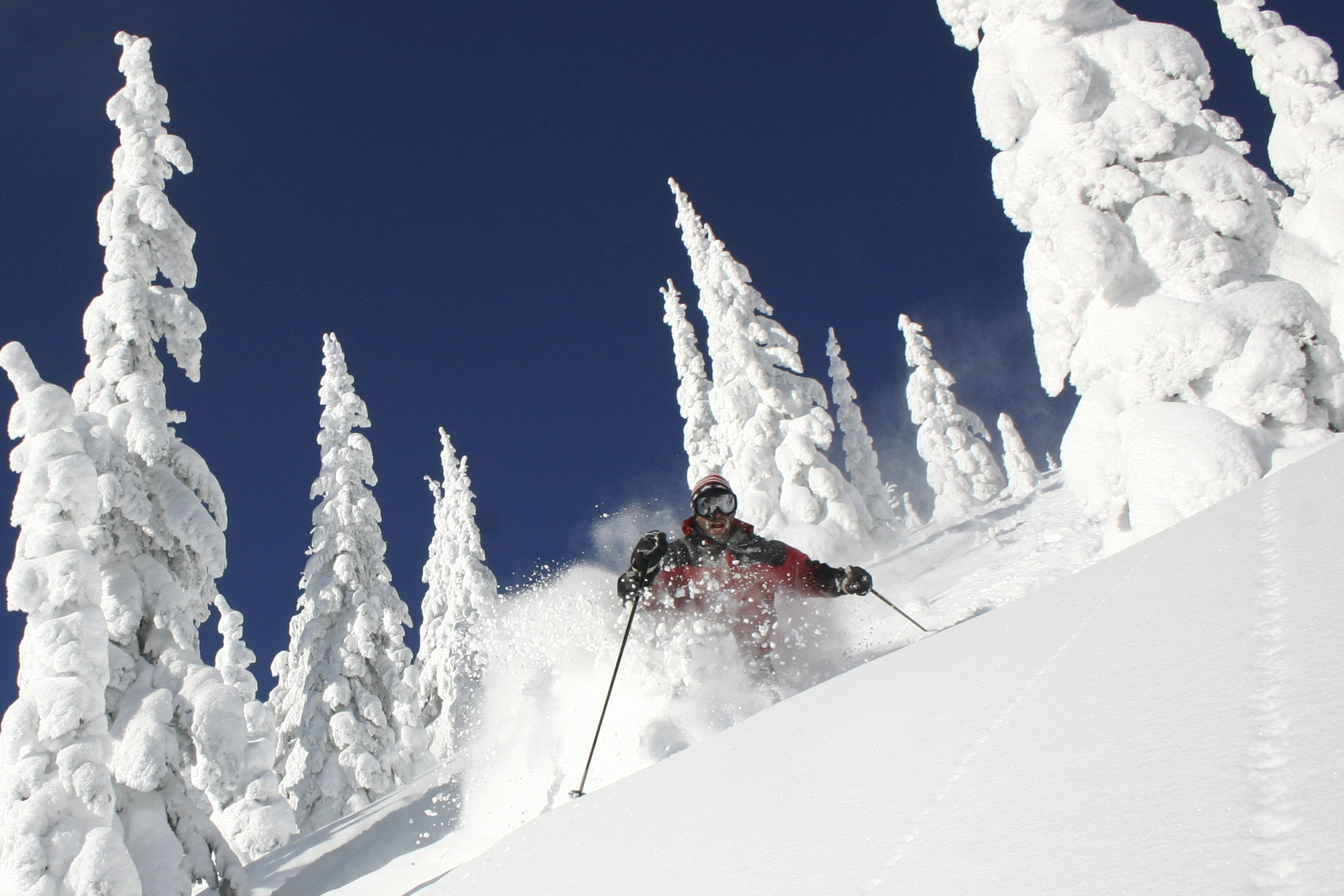 whitefish