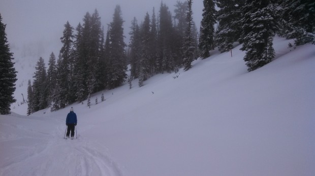 Leaving the Black Forrest