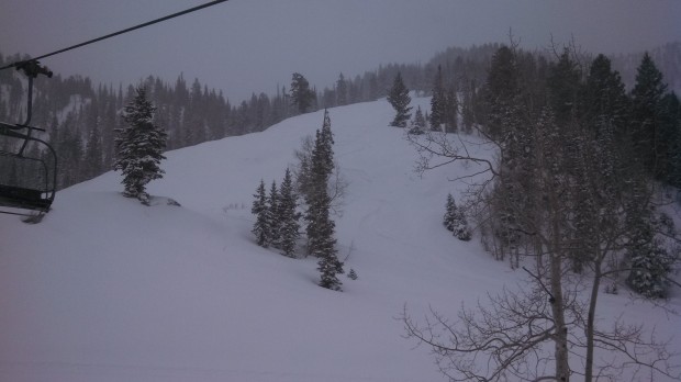 More freshies in the AM