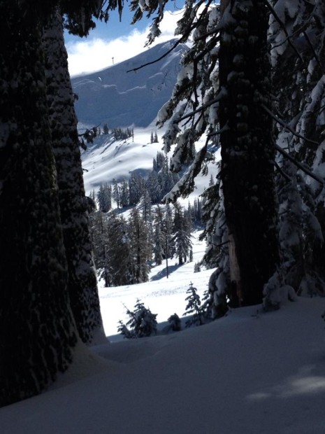 North Bowl avalanche off Headwall.  photo:  bruce hara