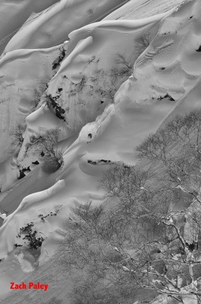 japan japow