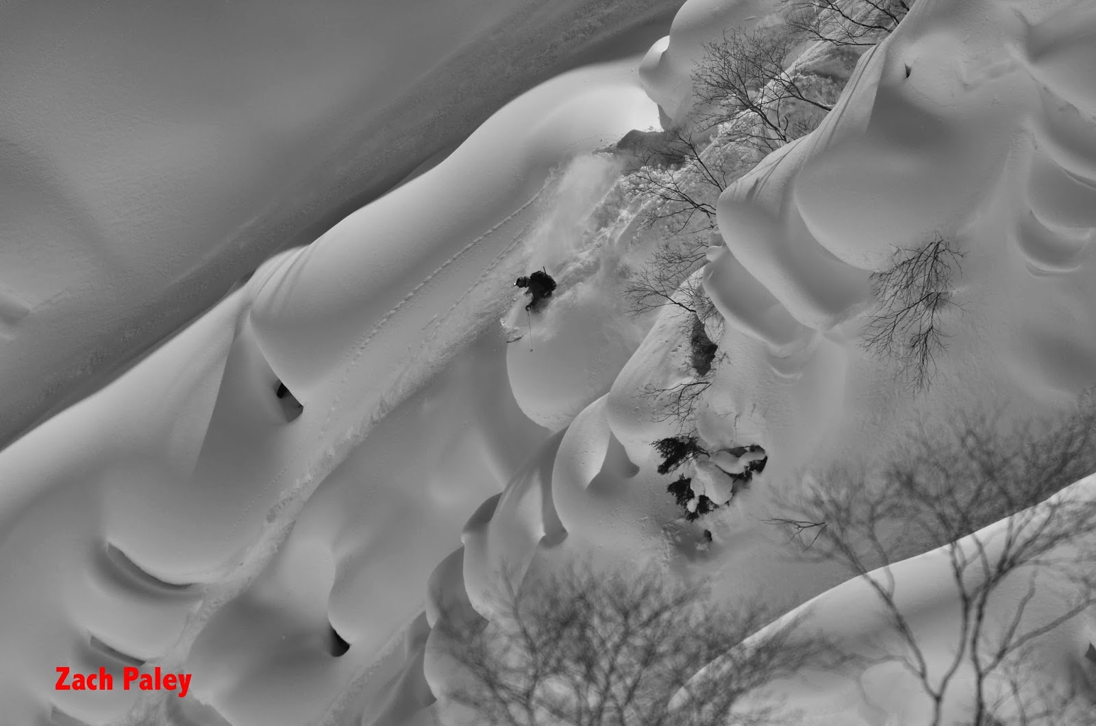 ski powder japan