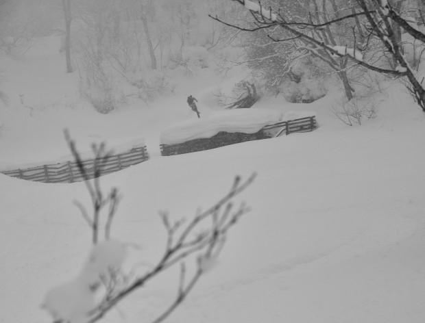 Miles Clark.  photo:  Zach Paley