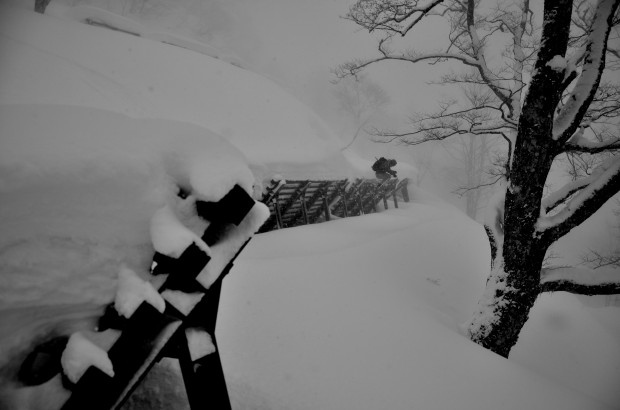 Fence line.  Miles Clark.  photo:  Zach Paley