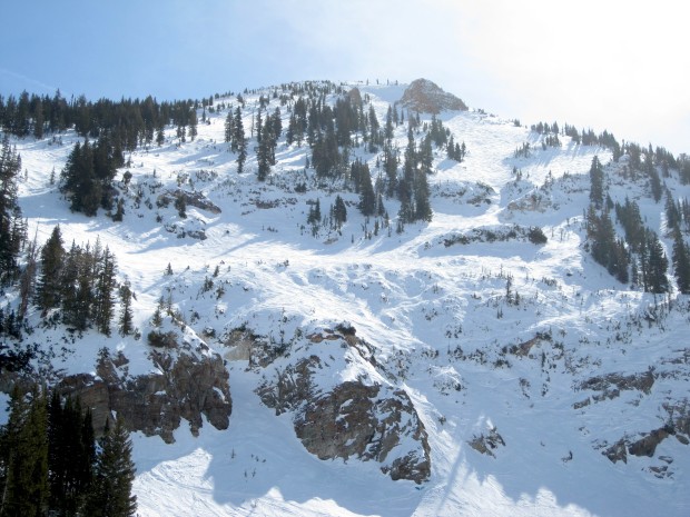 snowbird