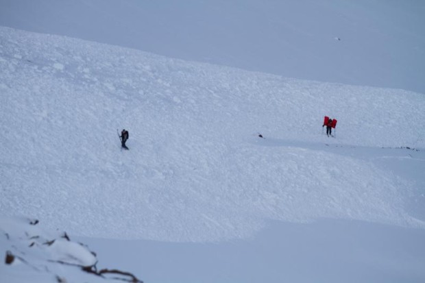 Mt. Superior Avalanche.  image:  Utah Avalanche Center