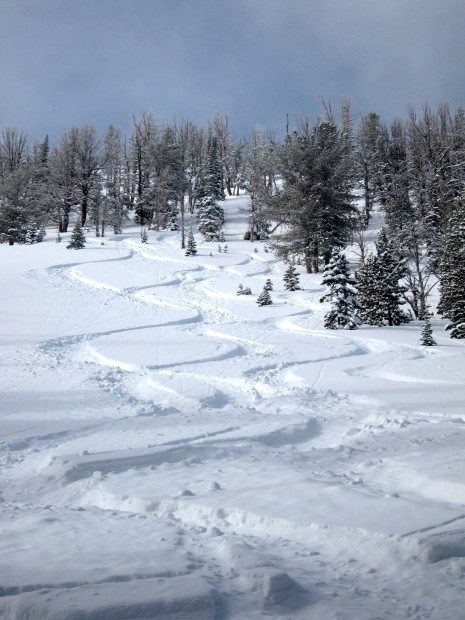 Nice lines