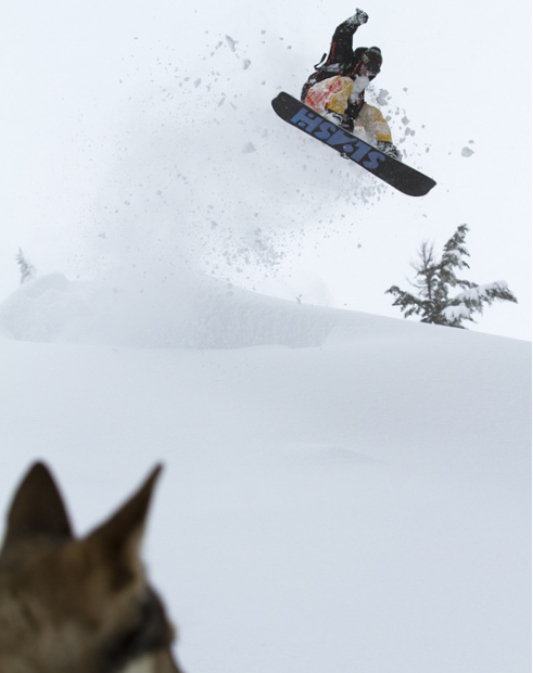 Mt. Baker during big Feb. snow cycle.  photo:  ben gavelda