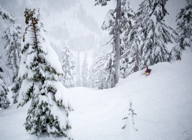 Mt. Baker during big Feb. snow cycle.  photo:  ben gavelda