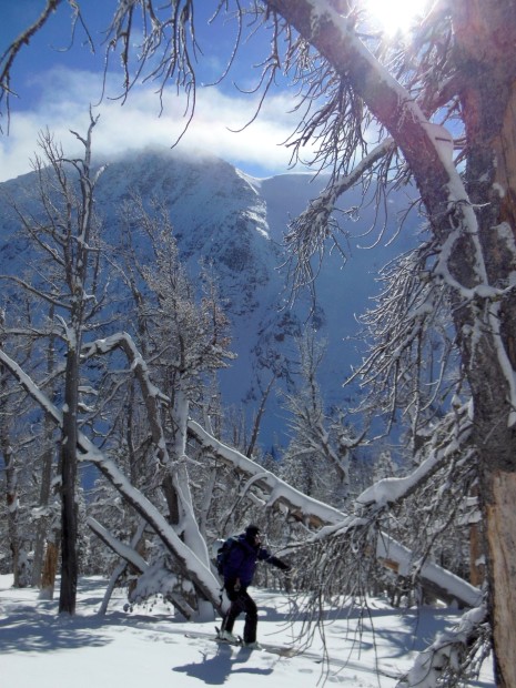Skinning in minus 20