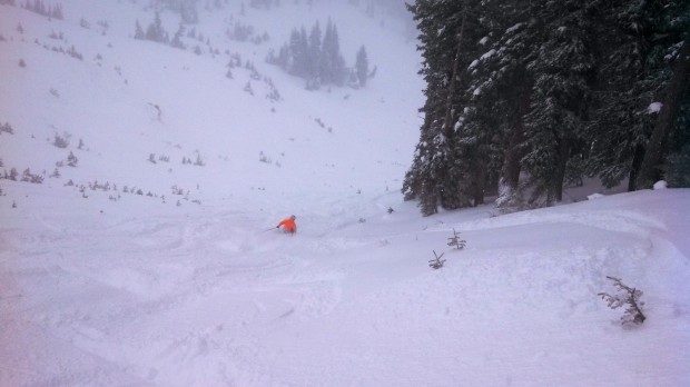 Greg shredding D8