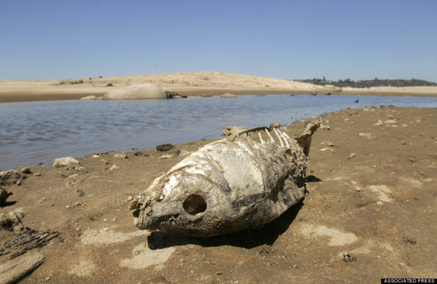 Folsom Lake, CA. photo: (AP Photo/Rich Pedroncelli)