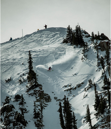 fwt snowbird