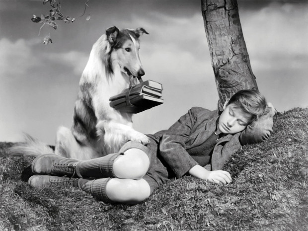 Lassie
