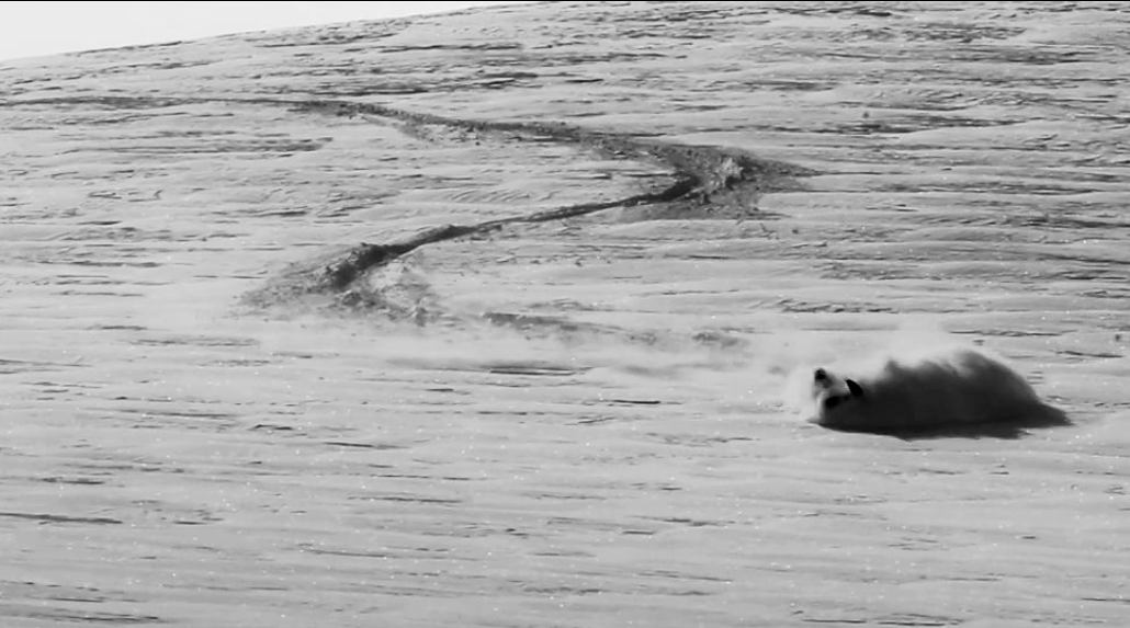Jamie Brown getting in deep on the sled