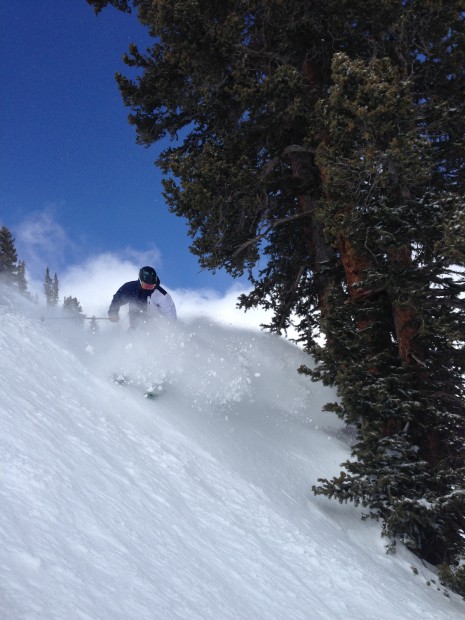 Cold, dry powder found all over the mountain