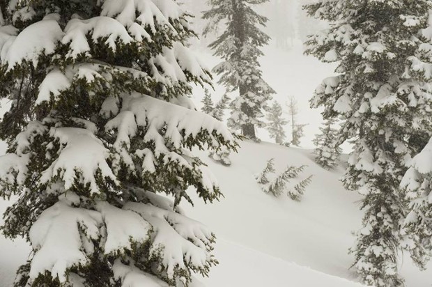Squaw on Friday.