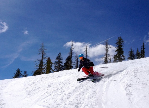 Lincoln groomers were fast and fun today