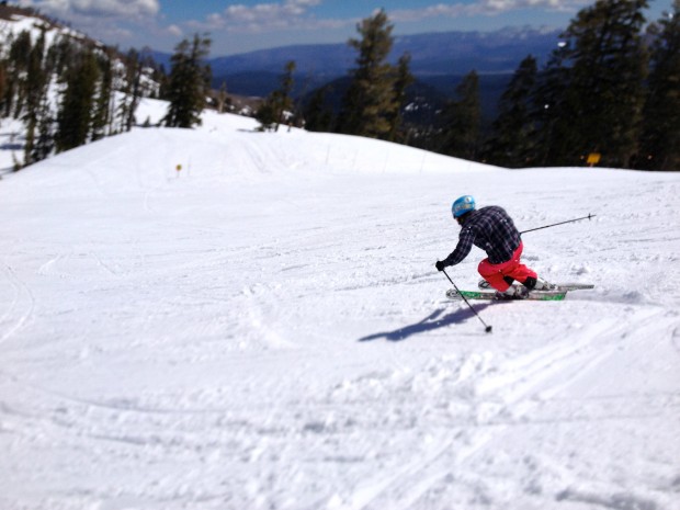 Rippin' groomers today