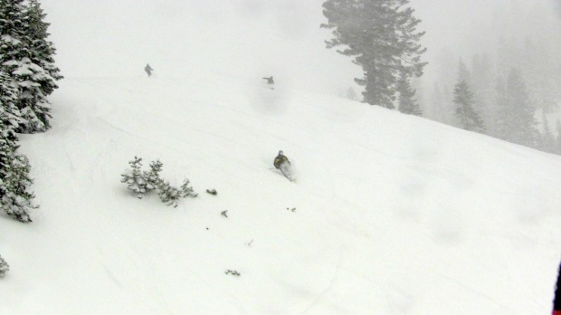 Alpine blurry pow