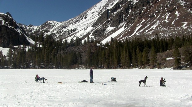 Trout season opening weekend = trout fishing on the Virginia Lakes.