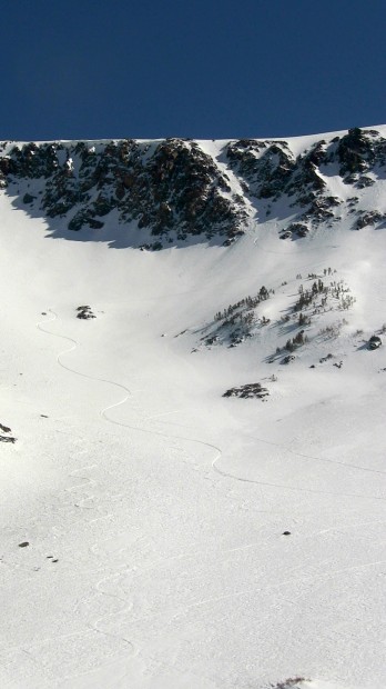 Glory turns in the open terrain
