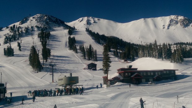 Bluebird morning - 4/26
