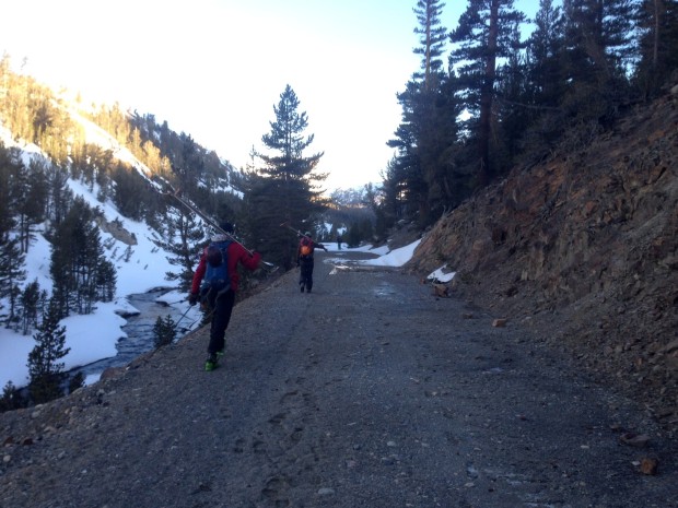 Walking up Saddlebag Lake road around 6:30: