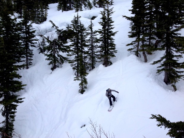 Fun terrain in the trees.
