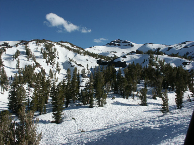 Sonora Pass, CA.