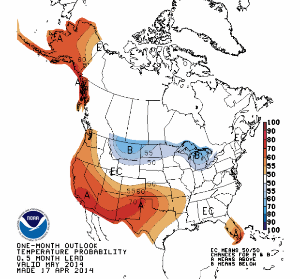 Forecast