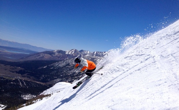 Ripping Dave's