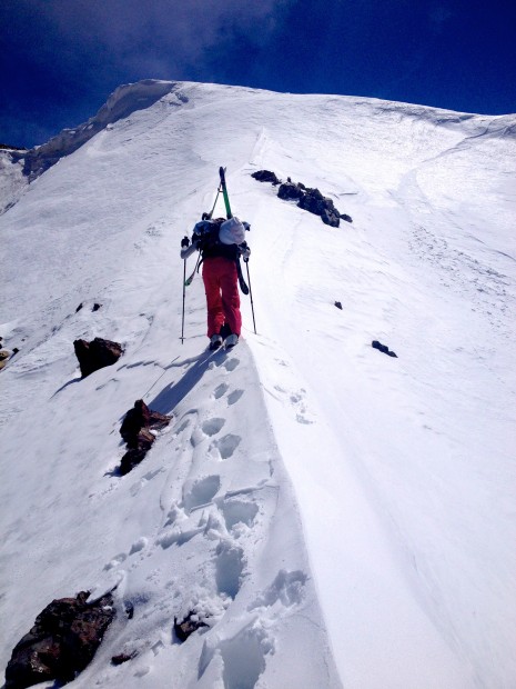 Almost to the top.