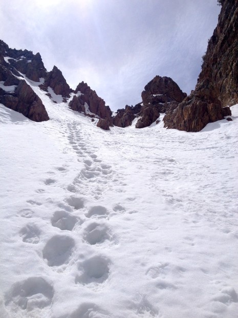Poop Chute on tioga pass today