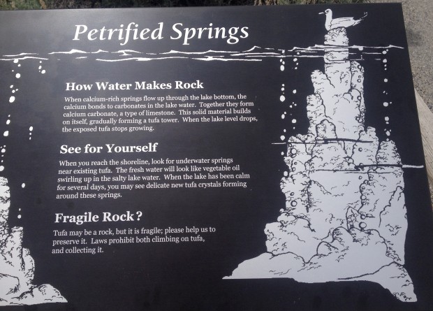 How Mono Lake's tufa forms: