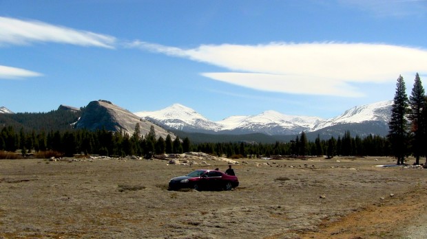 Some dude drove out into Toulomne Meadows in Yosemite today and got stuck.  Genius.  