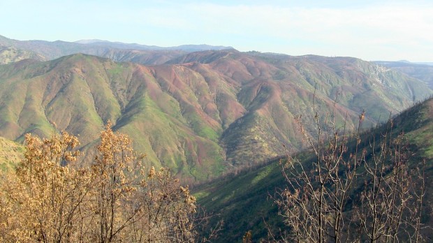 Yosemite Rim Fire devistation